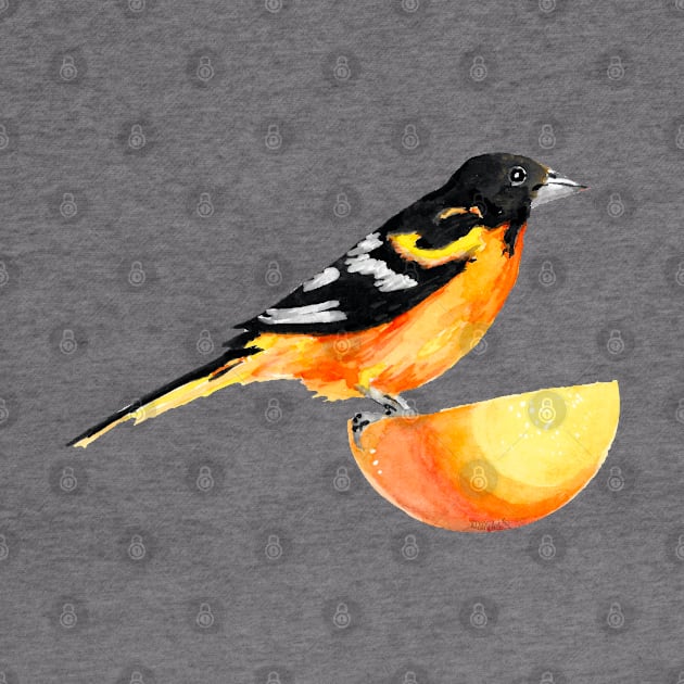 Oriole and Orange by Amy-Elyse Neer